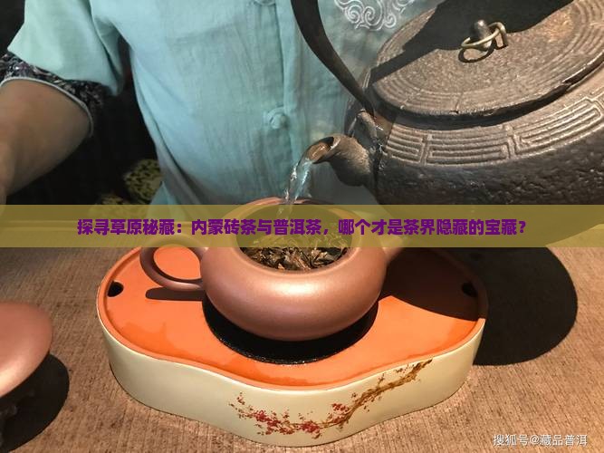 探寻草原秘藏：内蒙砖茶与普洱茶，哪个才是茶界隐藏的宝藏？