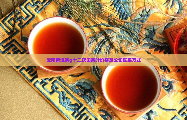 云南普洱茶g十二块田茶叶价格及公司联系方式