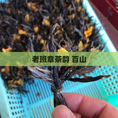 老班章茶韵 百山