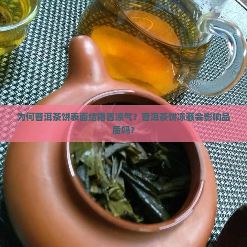 为何普洱茶饼表面结霜冒凉气？普洱茶饼冻藏会影响品质吗？
