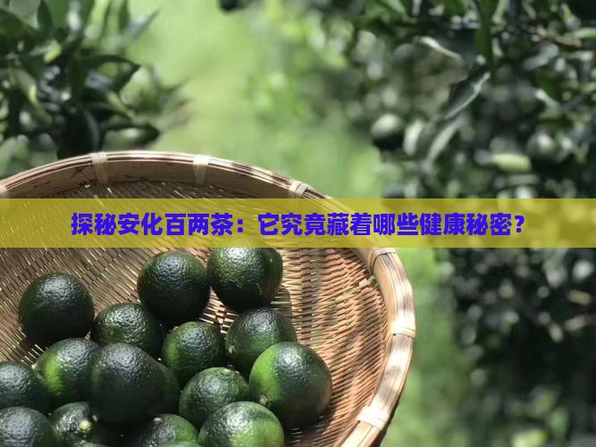 探秘安化百两茶：它究竟藏着哪些健康秘密？