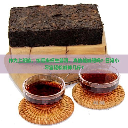 作为上班族，饭后来杯生普洱，真的能减肥吗？日常小习宫轻松减掉几斤？
