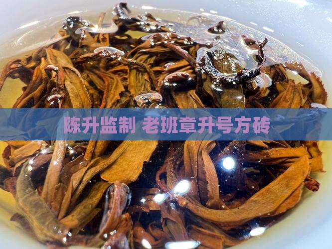 陈升监制 老班章升号方砖