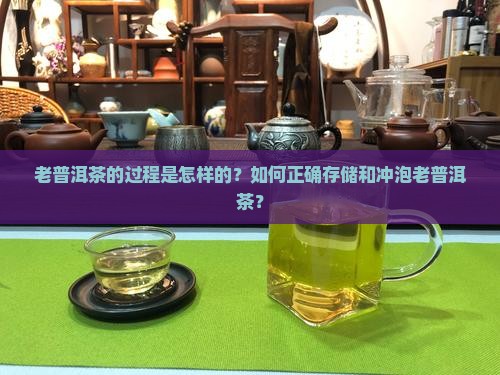 老普洱茶的过程是怎样的？如何正确存储和冲泡老普洱茶？