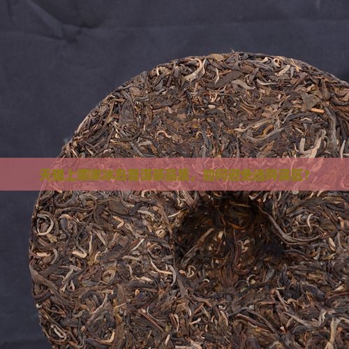 天猫上哪家冰岛普洱茶品质，如何避免选购误区？