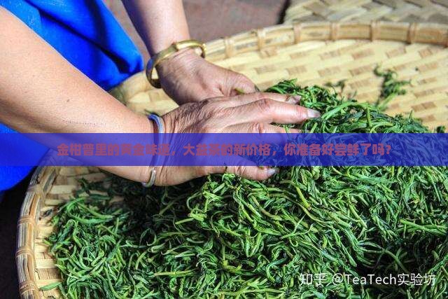 金柑普里的黄金味道，大益茶的新价格，你准备好尝鲜了吗？