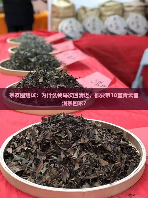 茶友圈热议：为什么我每次回清迈，都要带10盒青云普洱茶回家？