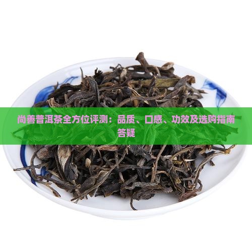尚善普洱茶全方位评测：品质、口感、功效及选购指南答疑