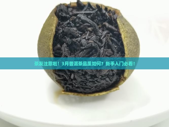茶友注意啦！3月普洱茶品质如何？新手入门必看！