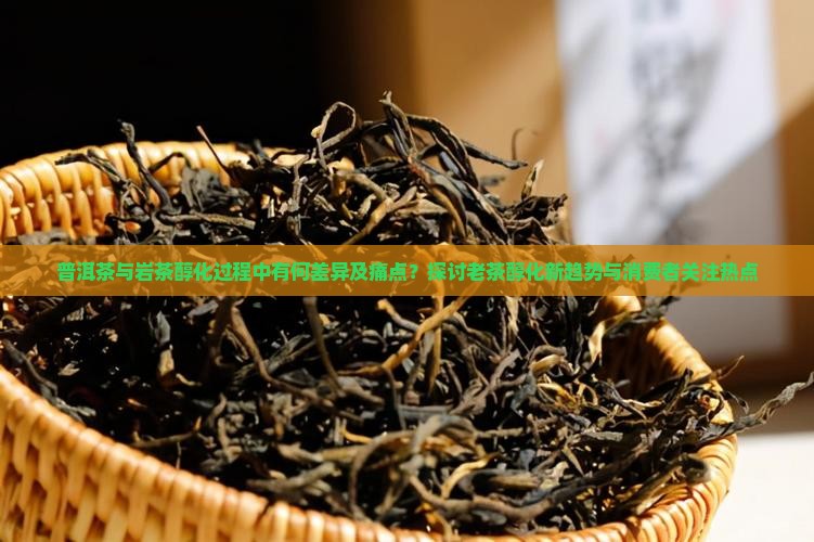 普洱茶与岩茶醇化过程中有何差异及痛点？探讨老茶醇化新趋势与消费者关注热点