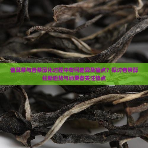 普洱茶与岩茶醇化过程中有何差异及痛点？探讨老茶醇化新趋势与消费者关注热点