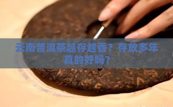 云南普洱茶越存越香？存放多年真的好吗？