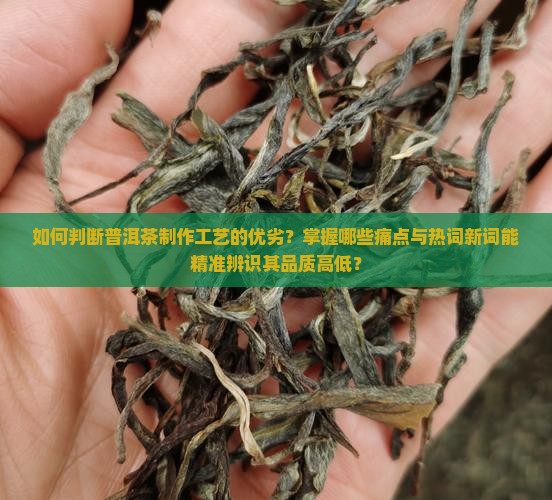 如何判断普洱茶制作工艺的优劣？掌握哪些痛点与热词新词能精准辨识其品质高低？