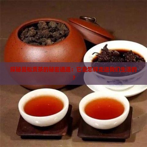探秘曼松贡茶的秘密通道：它是怎样走进我们生活的？