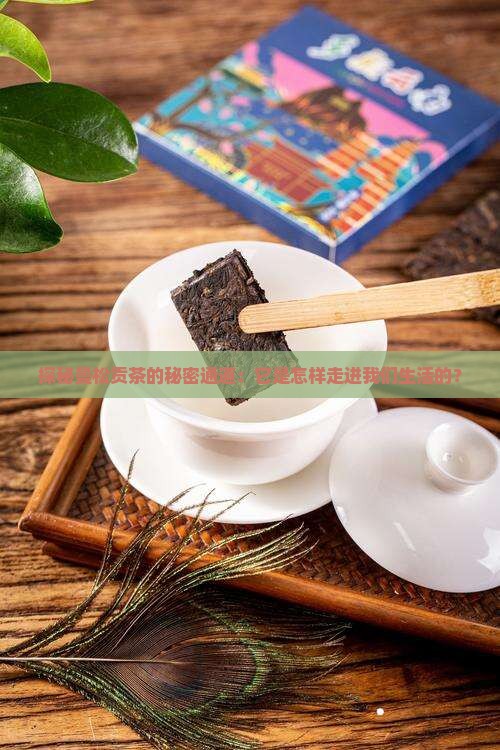 探秘曼松贡茶的秘密通道：它是怎样走进我们生活的？