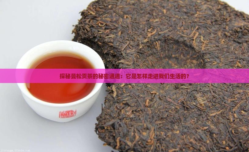 探秘曼松贡茶的秘密通道：它是怎样走进我们生活的？