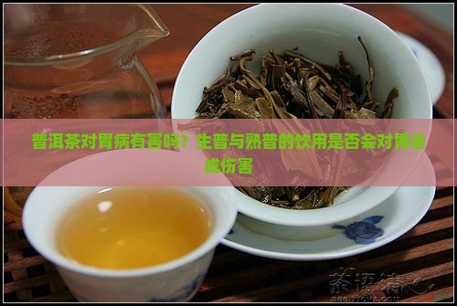 普洱茶对胃病有害吗？生普与熟普的饮用是否会对胃造成伤害