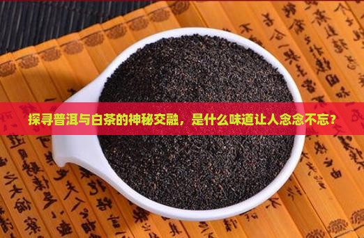探寻普洱与白茶的神秘交融，是什么味道让人念念不忘？