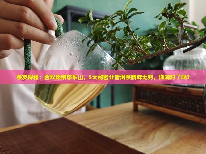 茶友探秘：西双版纳悠乐山，5大秘密让普洱茶韵味无穷，你喝对了吗？