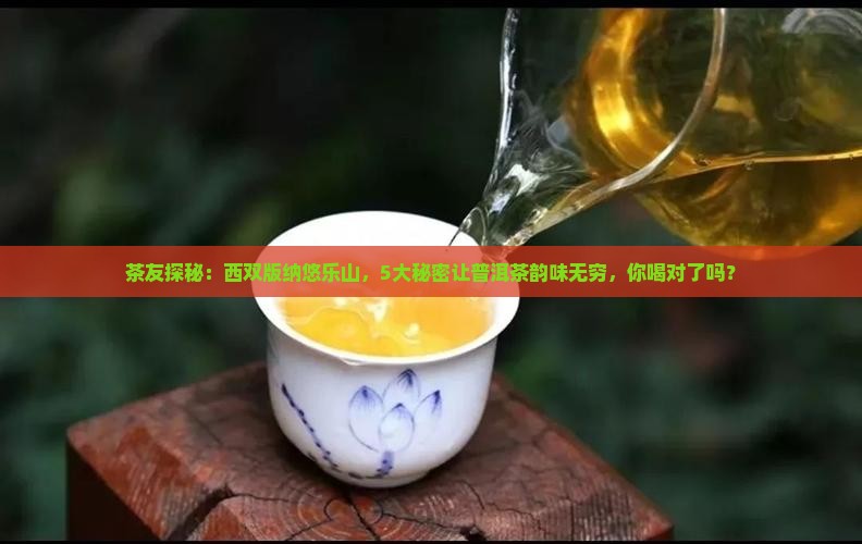 茶友探秘：西双版纳悠乐山，5大秘密让普洱茶韵味无穷，你喝对了吗？