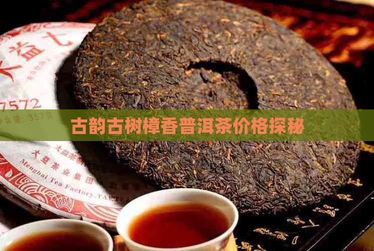 古韵古树樟香普洱茶价格探秘