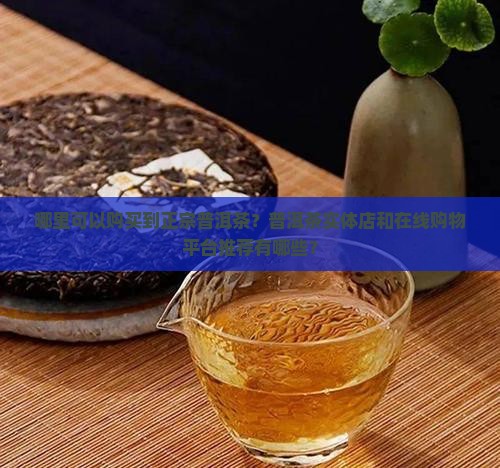 哪里可以购买到正宗普洱茶？普洱茶实体店和在线购物平台推荐有哪些？