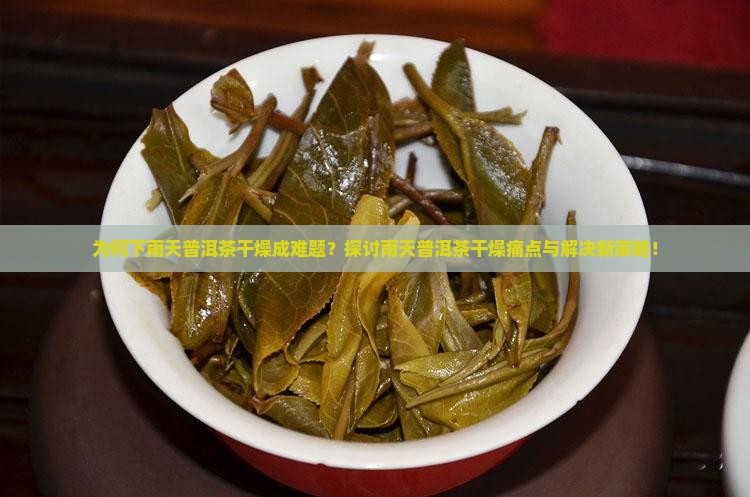 为何下雨天普洱茶干燥成难题？探讨雨天普洱茶干燥痛点与解决新策略！