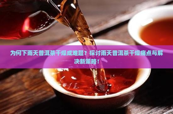 为何下雨天普洱茶干燥成难题？探讨雨天普洱茶干燥痛点与解决新策略！