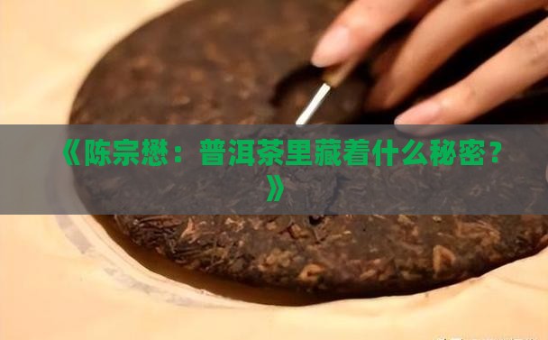 《陈宗懋：普洱茶里藏着什么秘密？》