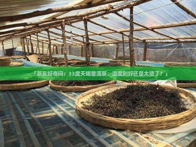「茶友好奇问：33度天喝普洱茶，温度刚好还是太烫了？」