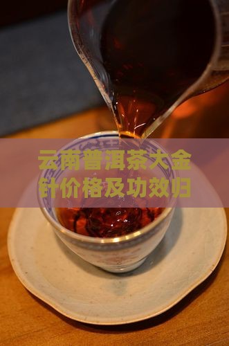 云南普洱茶大金针价格及功效归属解析