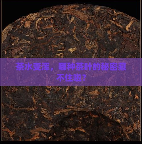 茶水变浑，哪种茶叶的秘密藏不住啦？