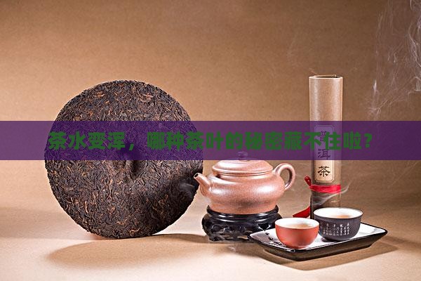 茶水变浑，哪种茶叶的秘密藏不住啦？