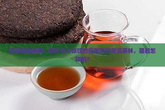 探寻易武秘境：那片令人惊叹的巨型高杆普洱茶林，藏着怎样的？