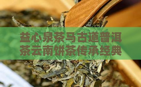 益心泉茶马古道普洱茶云南饼茶传承经典