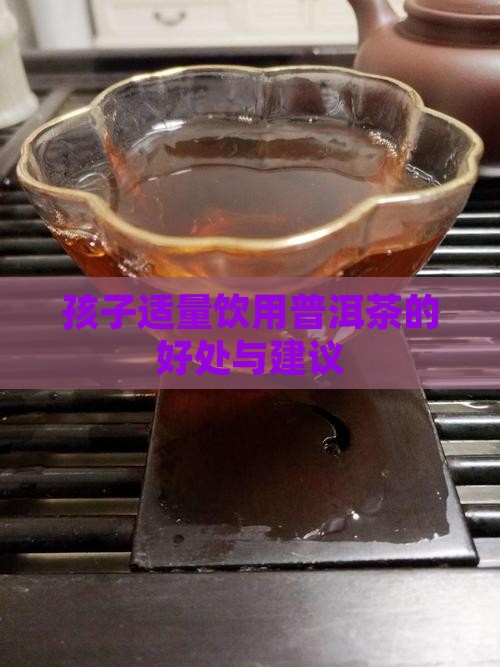 孩子适量饮用普洱茶的好处与建议