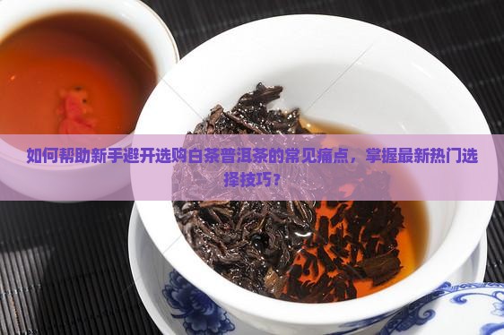 如何帮助新手避开选购白茶普洱茶的常见痛点，掌握最新热门选择技巧？