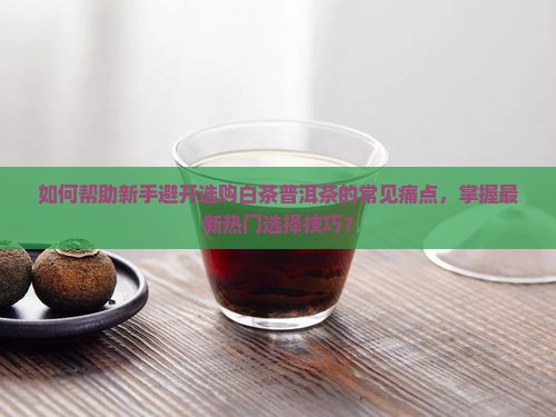 如何帮助新手避开选购白茶普洱茶的常见痛点，掌握最新热门选择技巧？