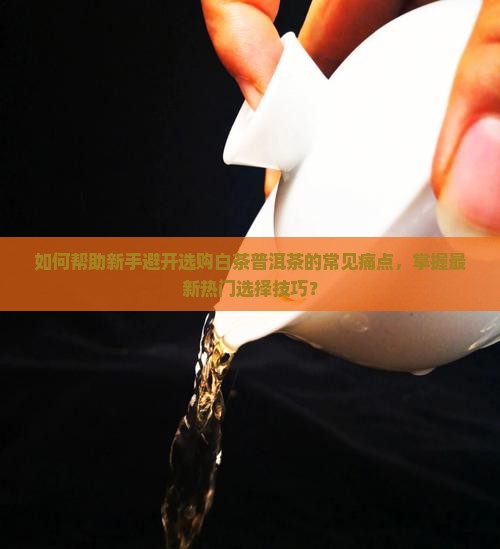 如何帮助新手避开选购白茶普洱茶的常见痛点，掌握最新热门选择技巧？