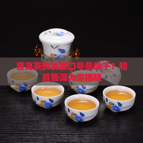 普洱茶的发展口号是啥子？和昌普洱为你揭晓