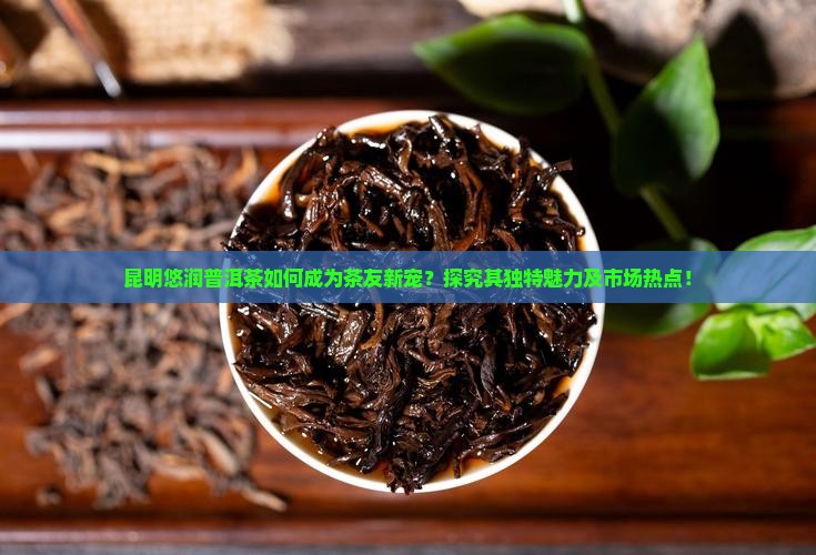 昆明悠润普洱茶如何成为茶友新宠？探究其独特魅力及市场热点！