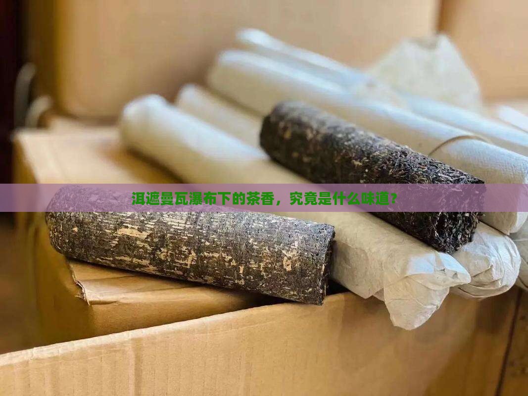 洱遮曼瓦瀑布下的茶香，究竟是什么味道？