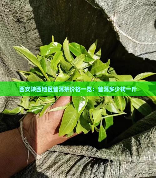 西安陕西地区普洱茶价格一览:普洱多少钱一斤 西安陕西地区普洱茶价格一览:普洱多少钱一斤