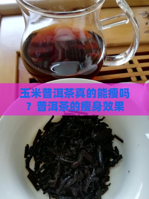 玉米普洱茶真的能瘦吗？普洱茶的瘦身效果