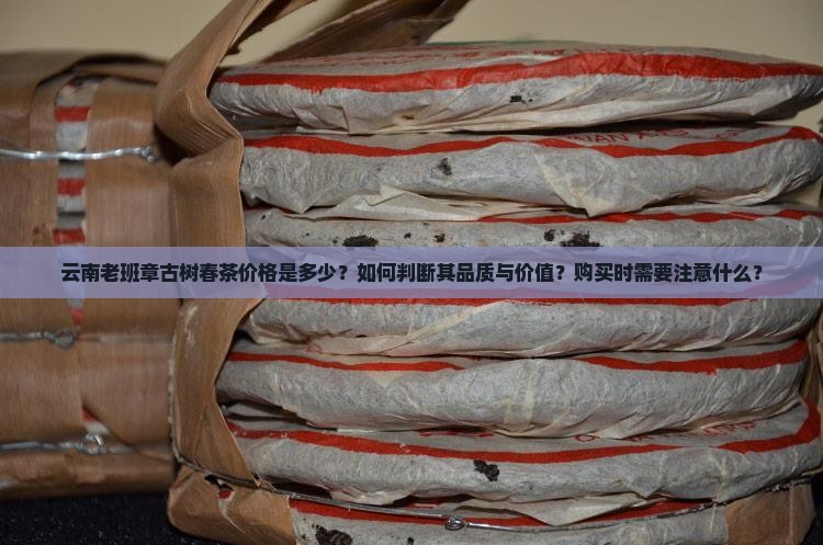 云南老班章古树春茶价格是多少？如何判断其品质与价值？购买时需要注意什么？