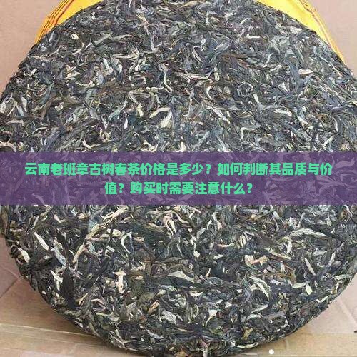 云南老班章古树春茶价格是多少？如何判断其品质与价值？购买时需要注意什么？