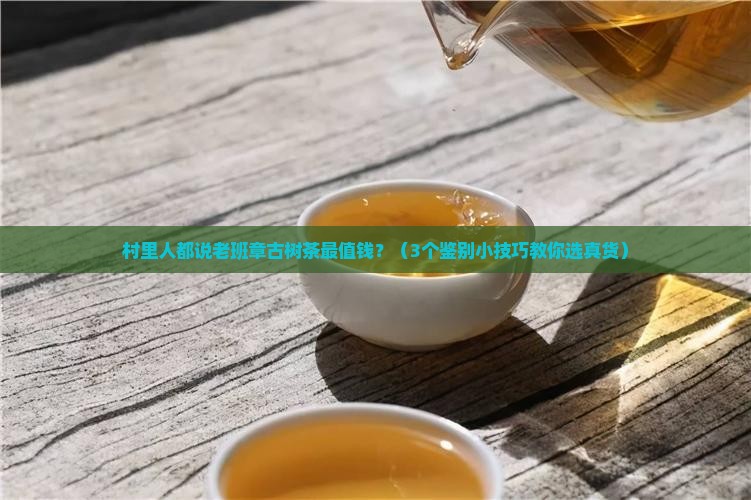村里人都说老班章古树茶最值钱？（3个鉴别小技巧教你选真货）