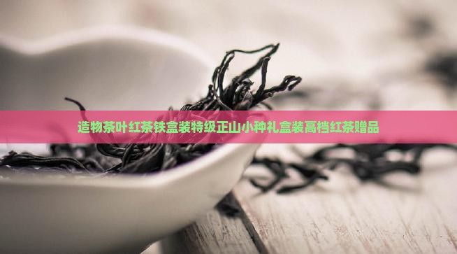造物茶叶红茶铁盒装特级正山小种礼盒装高档红茶赠品