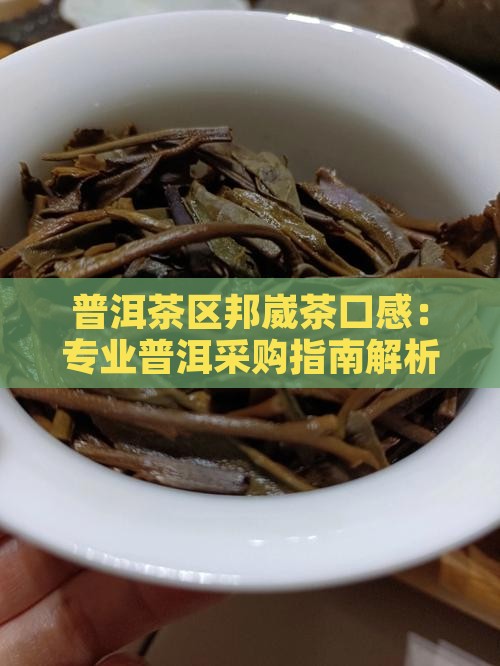 普洱茶区邦崴茶口感：专业普洱采购指南解析