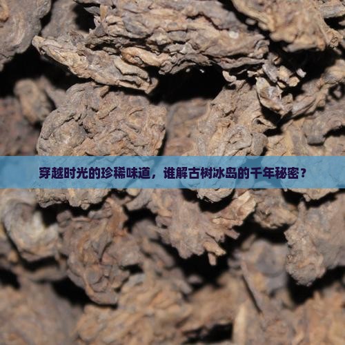 穿越时光的珍稀味道，谁解古树冰岛的千年秘密？